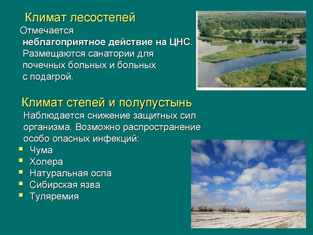 Количество осадков в лесостепи и степи. Климат лесостепи. Зона лесостепи климат. Климатические условия лесостепи. Климатические особенности лесостепи.