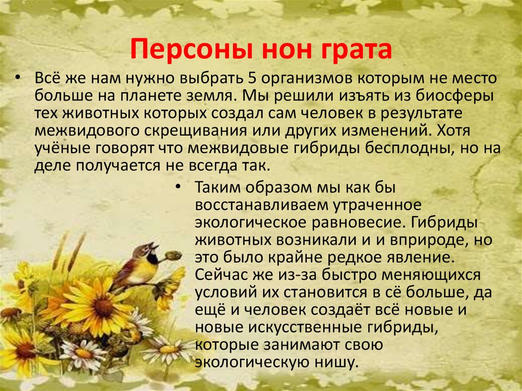 Слово нон. Персона нон грата. Персона нон-грата что это значит. Нон-грата что это простыми словами. Персона что это значит простыми словами.