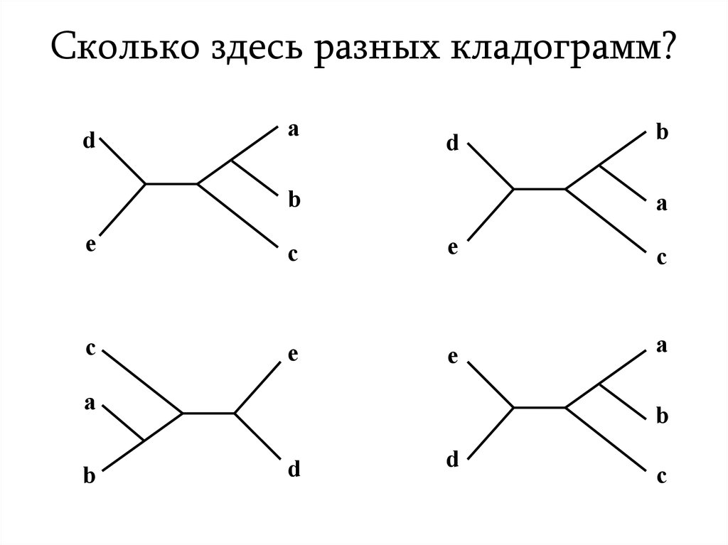 Сколько здесь слов