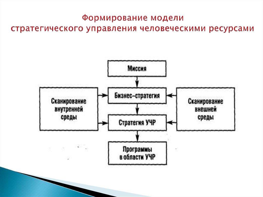 Разработка плана управления человеческими ресурсами