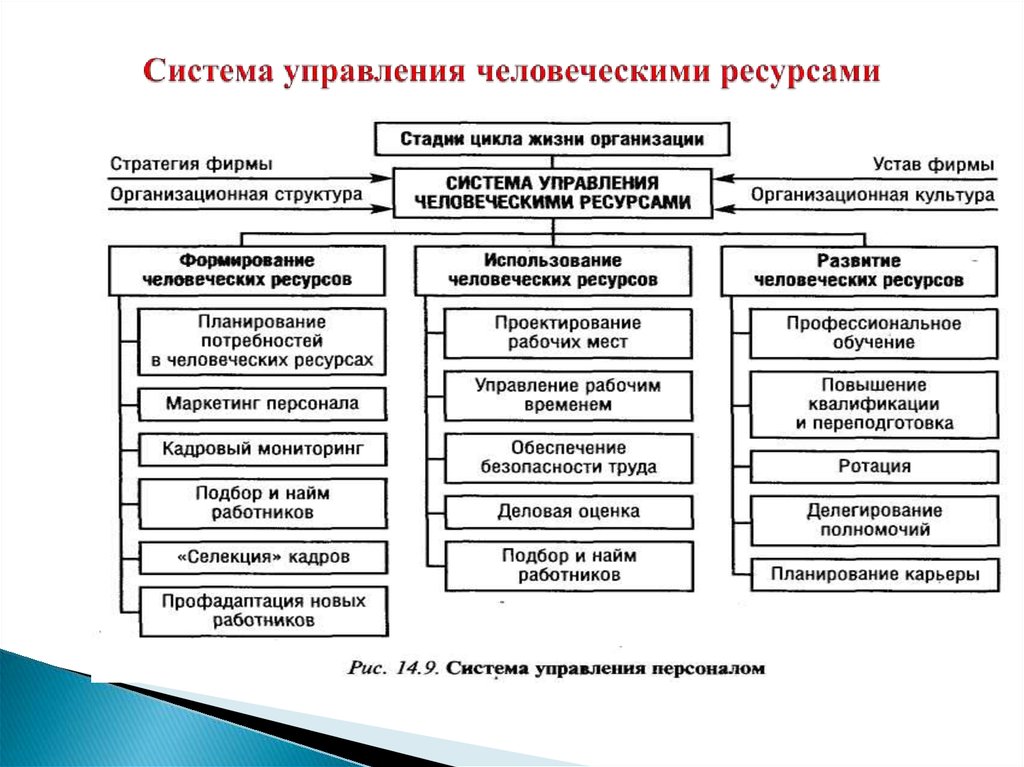 Система управления ресурсами. Структура управления человеческими ресурсами в организации. Элементы системы управления человеческими ресурсами на предприятии. Системообразующие функции управления человеческими ресурсами. Система управления человеческими ресурсами организации подсистемы.