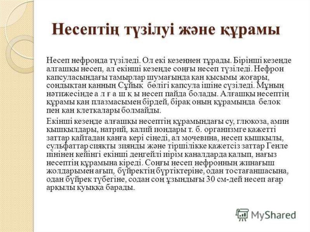 Несеп шығару жүйесі презентация