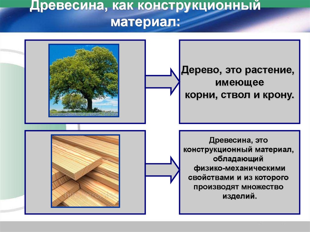 Древесина как строительный материал презентация