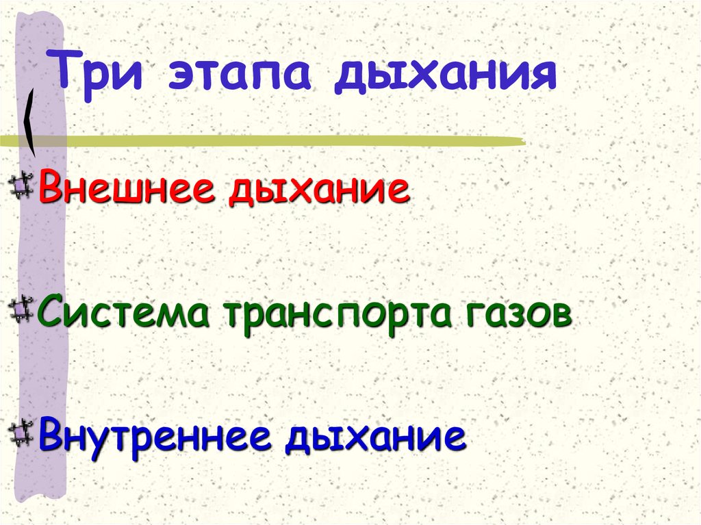 Три этапа дыхания