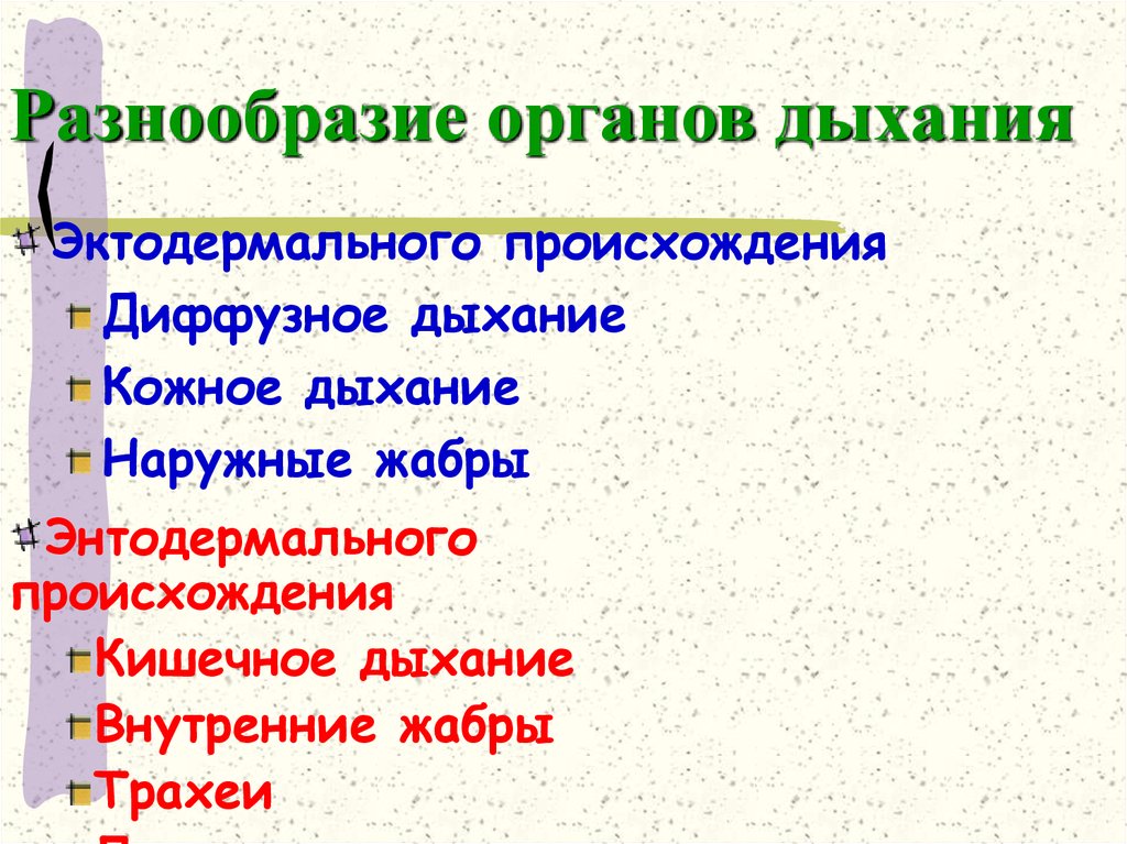 Разнообразие органов дыхания