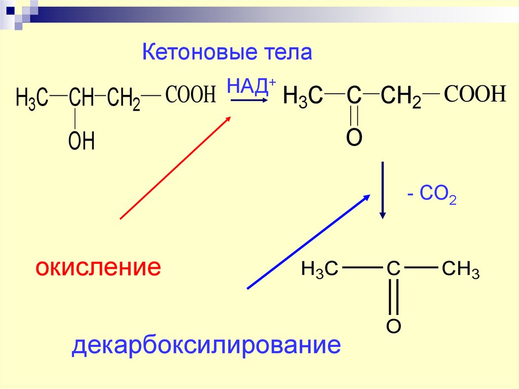 Схема образования кетоновых тел