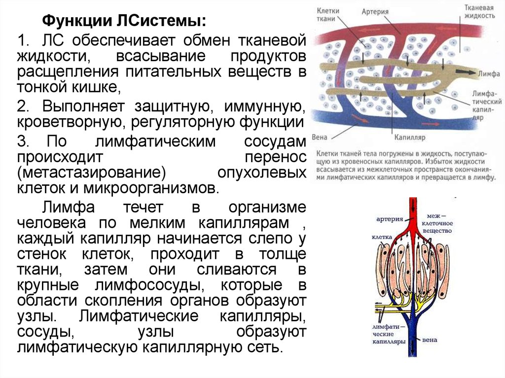 Отток лимфатической жидкости