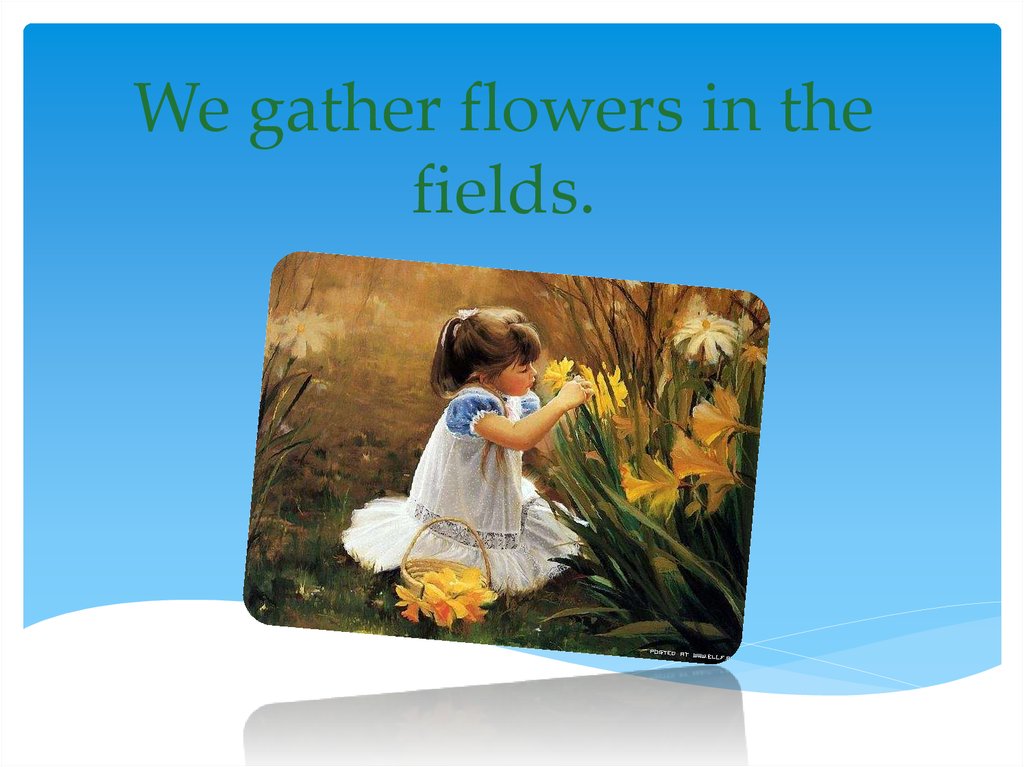 We gather flowers in the fields.