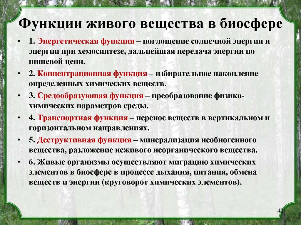 Какова роль организмов. Функйживого вещества в биосфере. Функции живого вещества в биосфере по Вернадскому. Функции живого вещества биология 11 класс Биосфера. Функции живых организмов по Вернадскому.