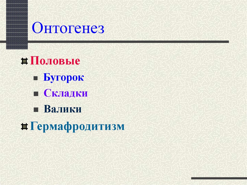 Онтогенез