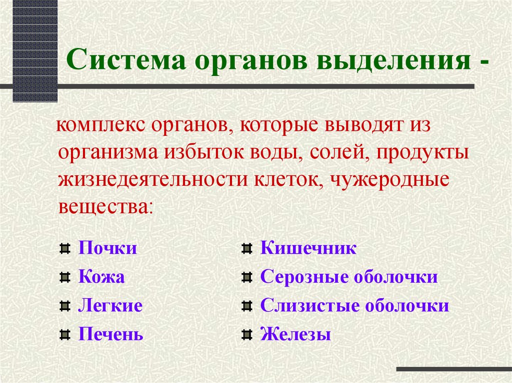 Система органов выделения -