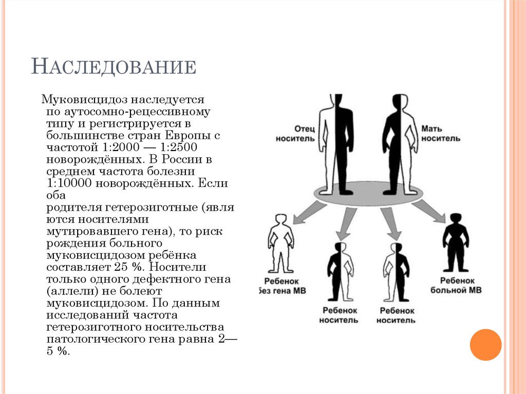 Муковисцидоз презентация по генетике