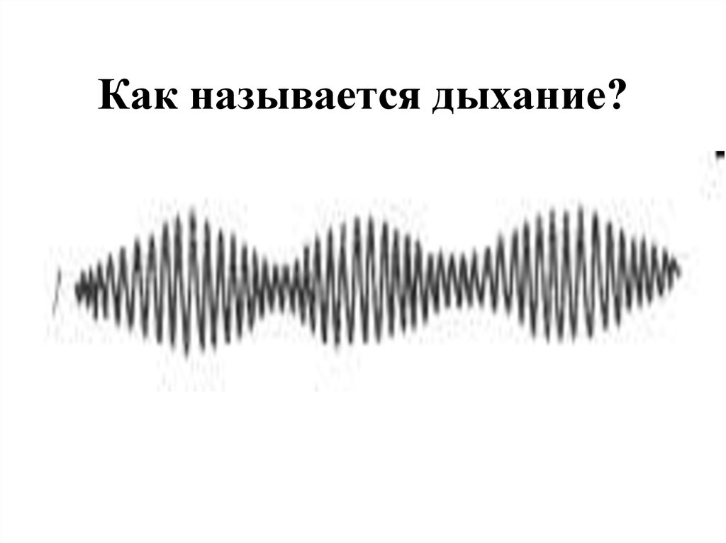 Дыхательная система вдох и выдох. Как называется дышать. Взаимосвязь дыхания и кровообращения. Дыхательная система человека рисунок. Характеристика внешнего и внутреннего дыхания.