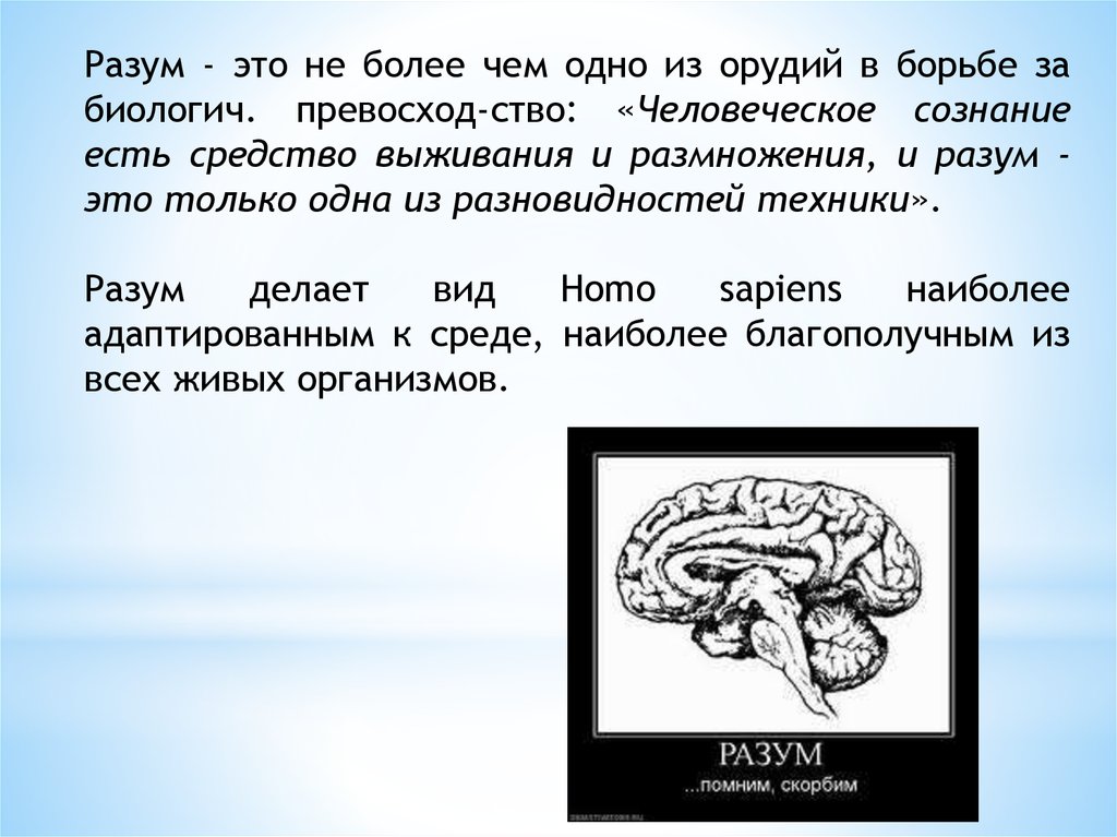 Разум это. Разум. Разум это в философии. Разум это определение. Разум это в обществознании.