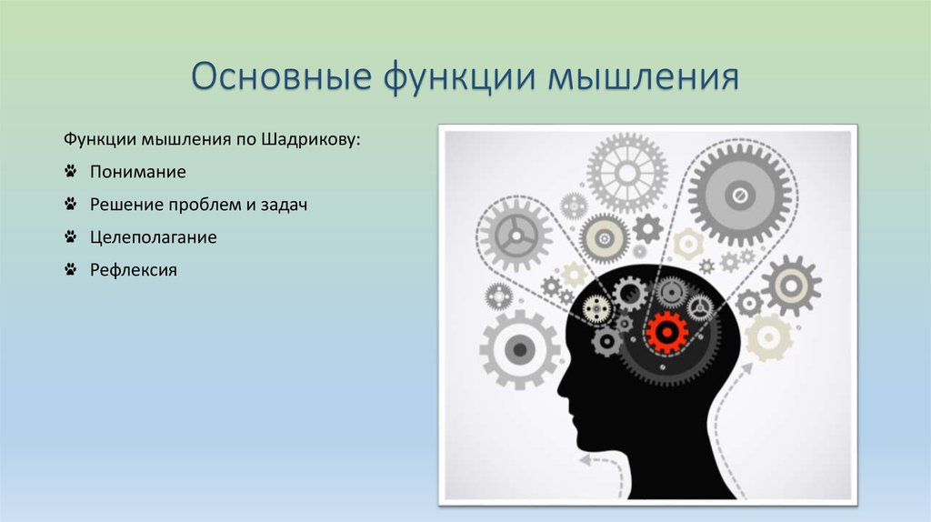 Функции процесса мышления в психологии