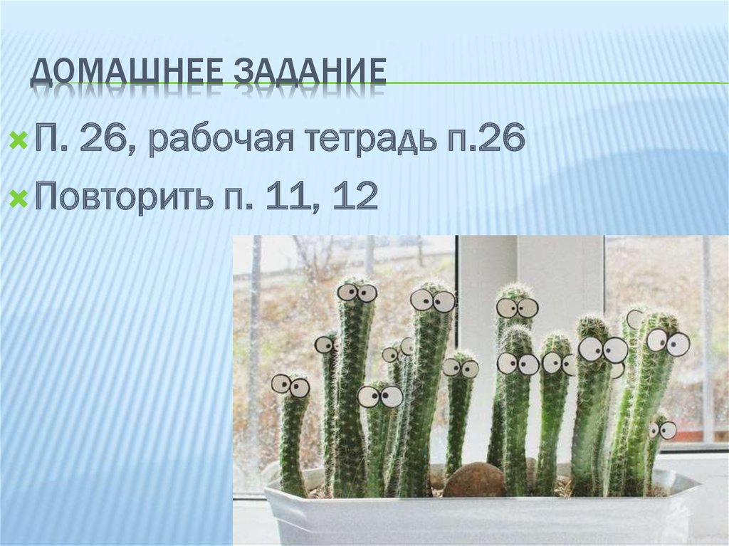 Домашнее задание