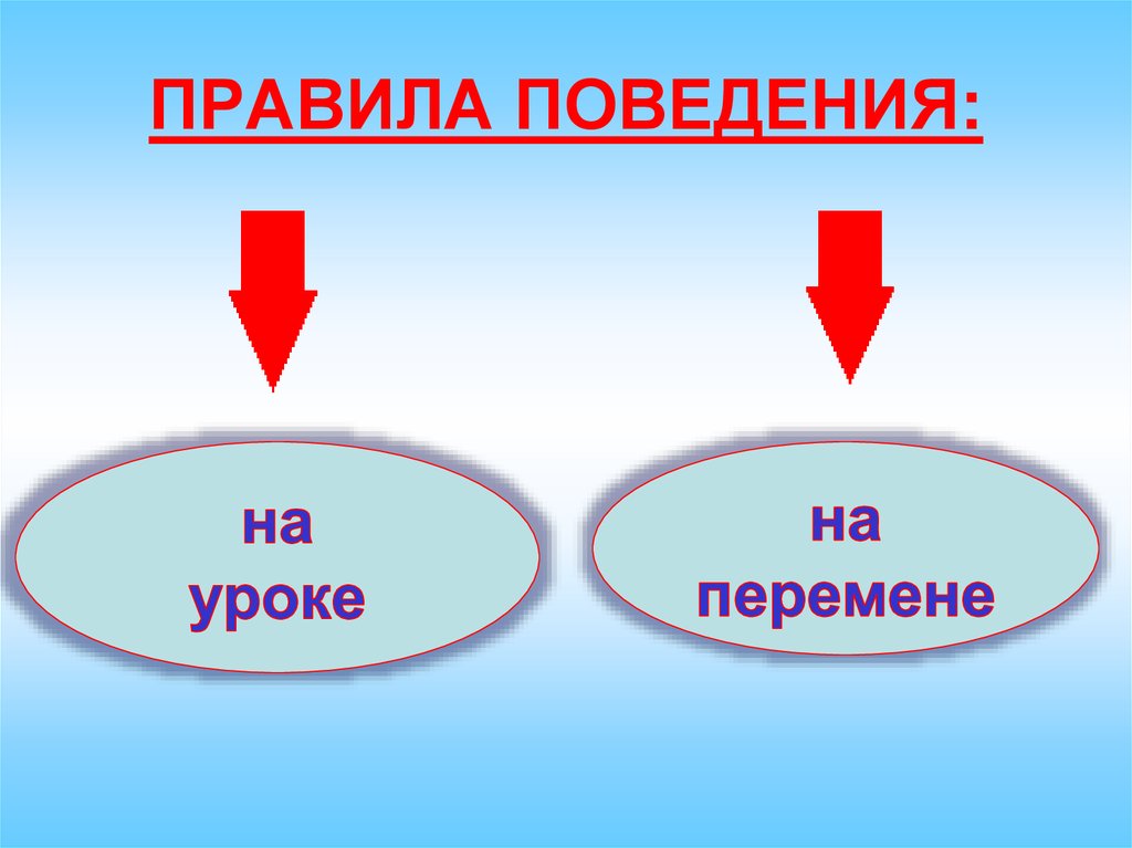 ПРАВИЛА ПОВЕДЕНИЯ: