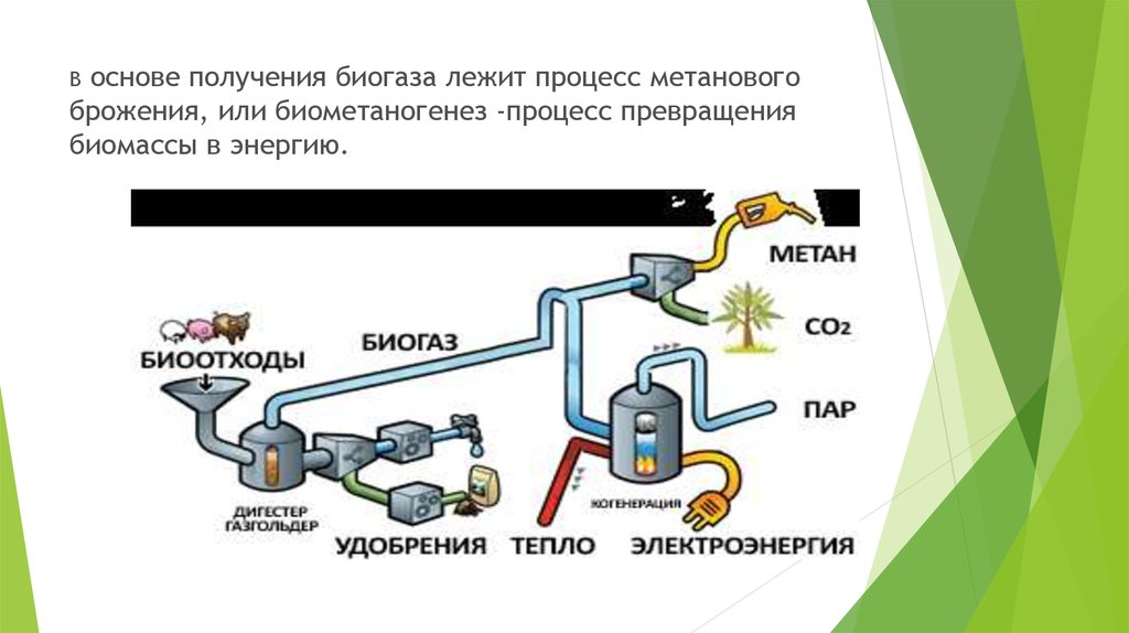 Презентация на тему биогазовые установки