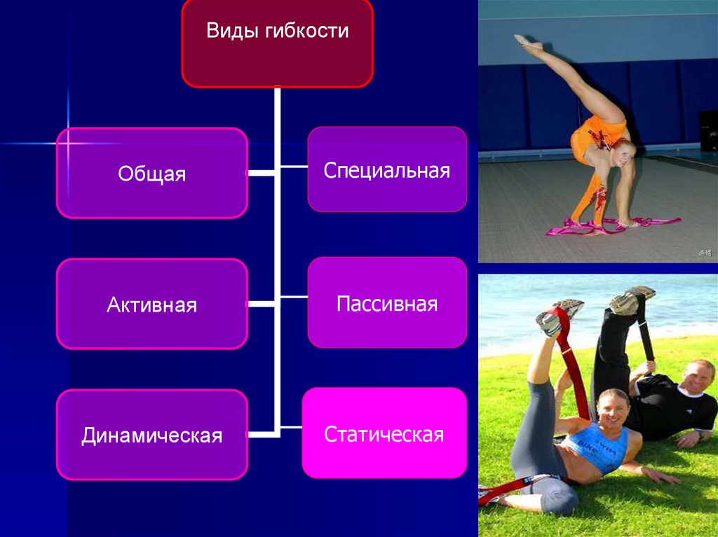 Виды гибкости. Различают виды гибкости:. Активная и пассивная гибкость. Динамическая и статическая гибкость.