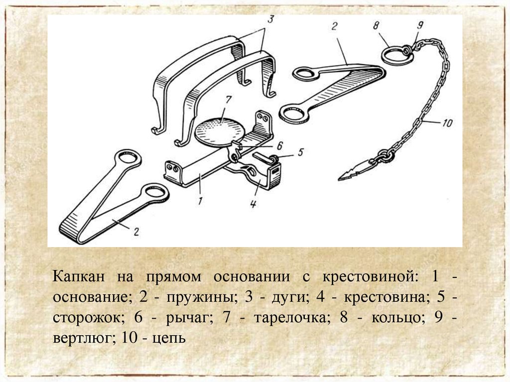 Песня называется капкан. Части капкана. Устройство капкана. Составные части капкана. Конструкция капкана.