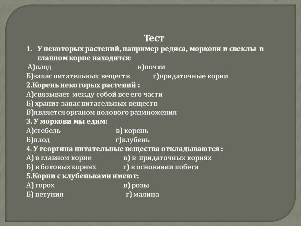 Тесты органы цветковых растений. У некоторых растений например риса редиса моркови в главном корне.