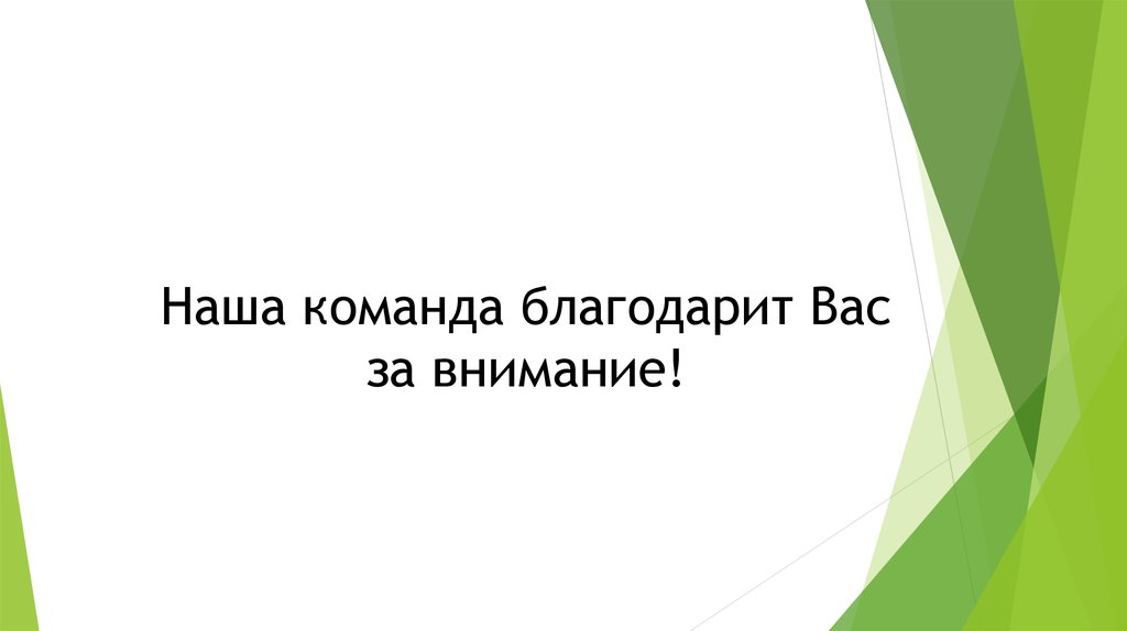 Наша команда благодарит Вас за внимание!