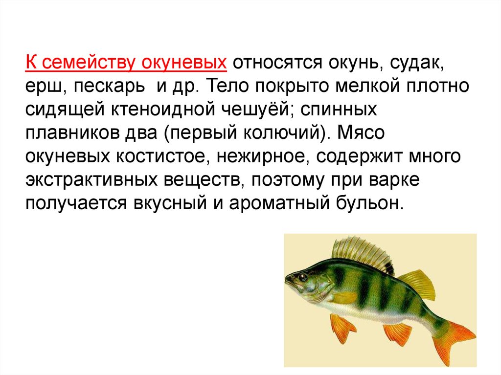Окуневая рыба 4 буквы