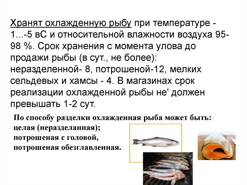 Хранения мороженой рыбы. Условия и сроки хранения охлажденной рыбы. Продолжительность хранения охлажденной рыбы. Срок хранения охлажденной рыбы. Срок хранения соленой рыбы.