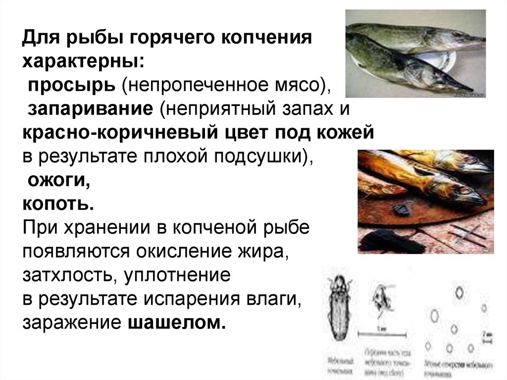 Оценка качества рыбы. Просырь копченой рыбы. Рыба в рыбе копченая. Презентация копченой рыбы.