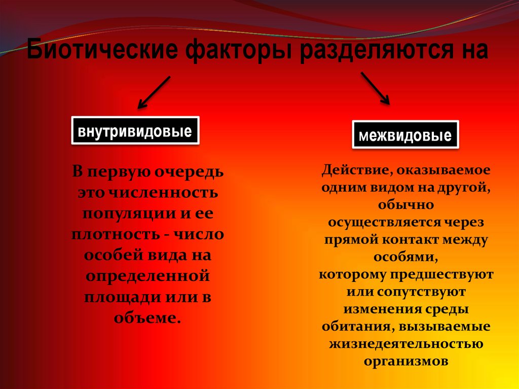 Биотические факторы примеры таблица