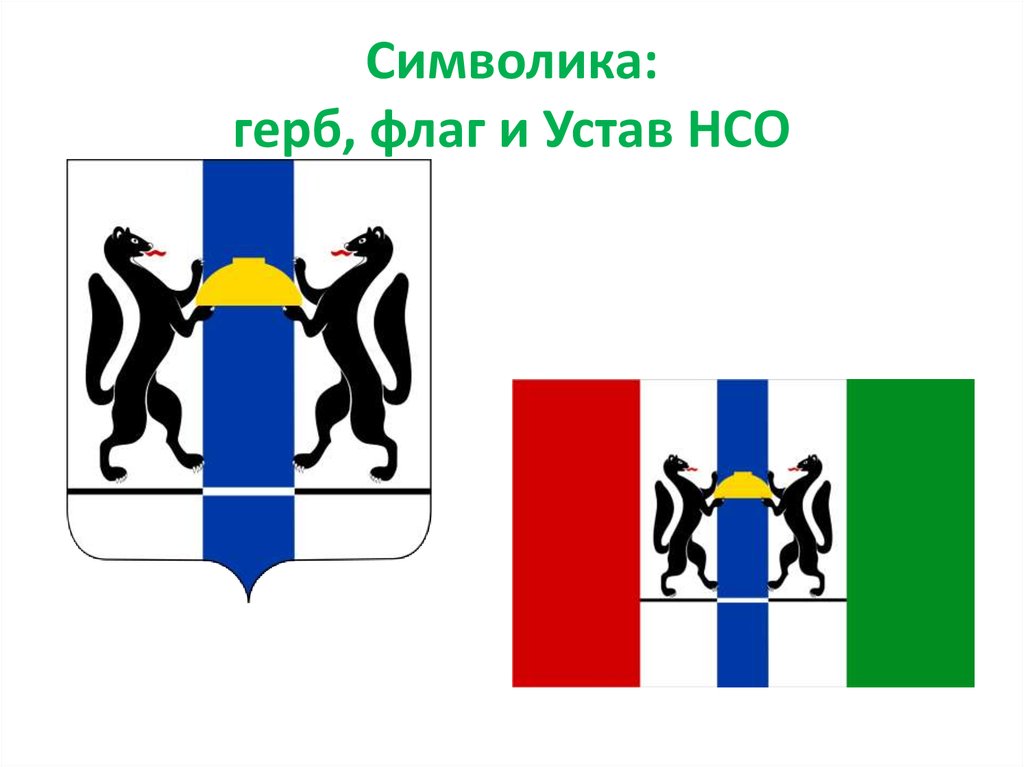 Символика: герб, флаг и Устав НСО