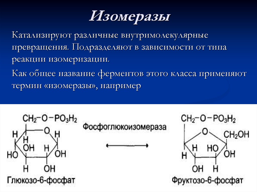 Особенности реакций ферментов. Изомеразы ферменты. Изомеразы коферменты. Изомеразы примеры катализируемых реакций. Схема реакции изомеразы.