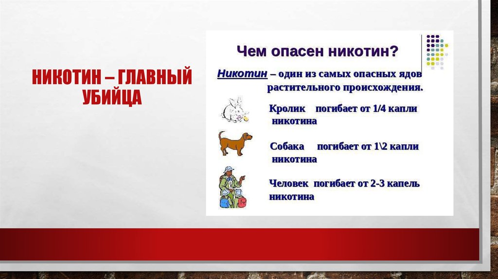 Никотин – главный убийца