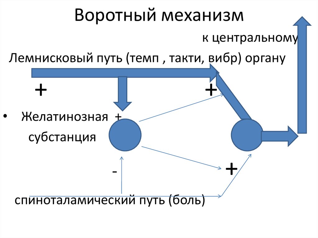 Основные механизмы боли схема