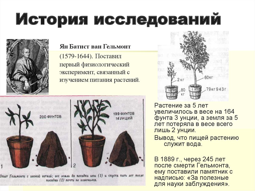 Растения теория. Опыт Яна Ван Гельмонта фотосинтеза. Опыт Ван Гельмонта фотосинтез. Опыты Ван Гельмонта по фотосинтезу. Эксперимент Ян Баптиста Ван Гельмонта.