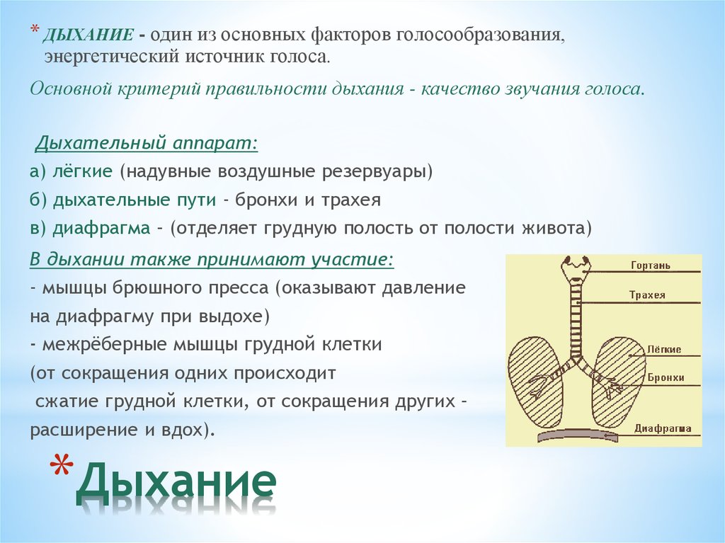 Голос презентация участников