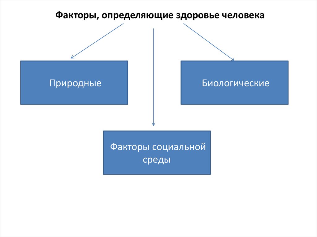 Факторы определяющие