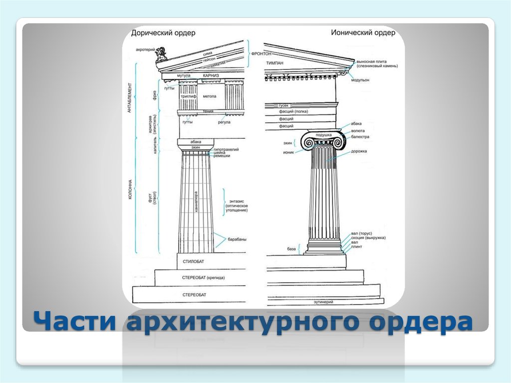 Образцы ордеров. Дорический ордер и ионический ордер. Греко дорический ордер. Дорический и ионический ордер схема. Архаический дорический ордер.