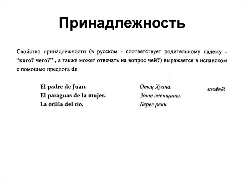 Принадлежность это. Что такое принадлежность в русском языке. Свойства принадлежности.