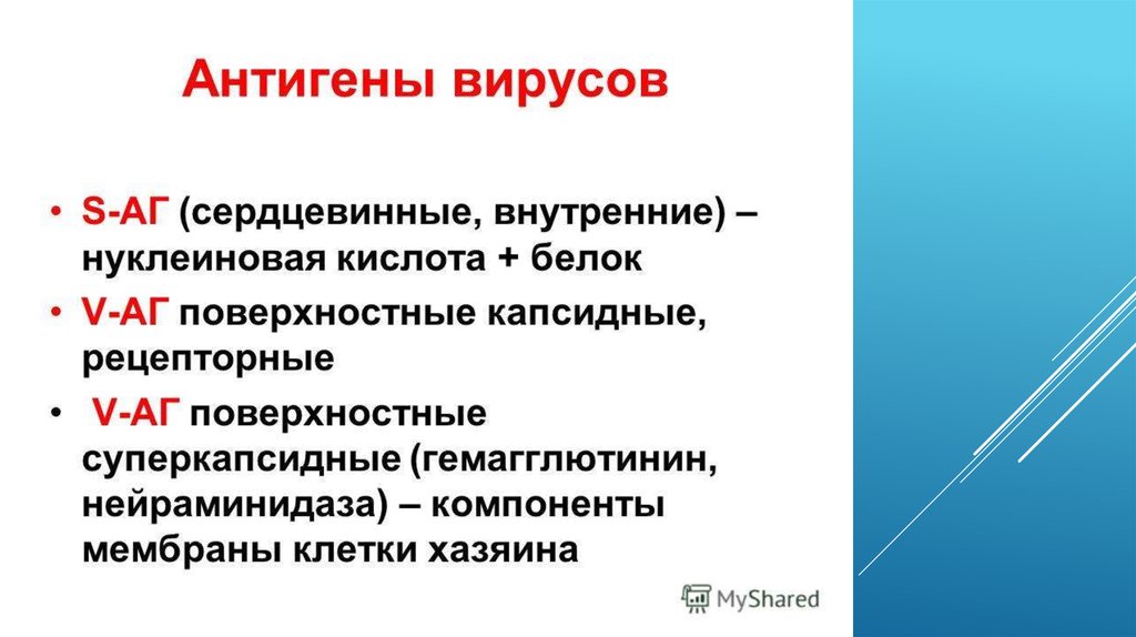 Антигены вирусов схема