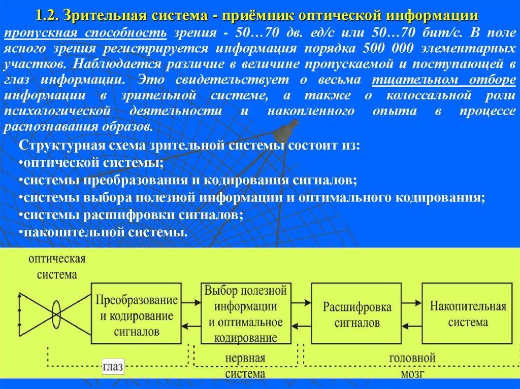 Оптическая информация. Оптический приемник информации. Кодирование зрительной информации. Система приемника. Назначение оптимального кодирования информации..