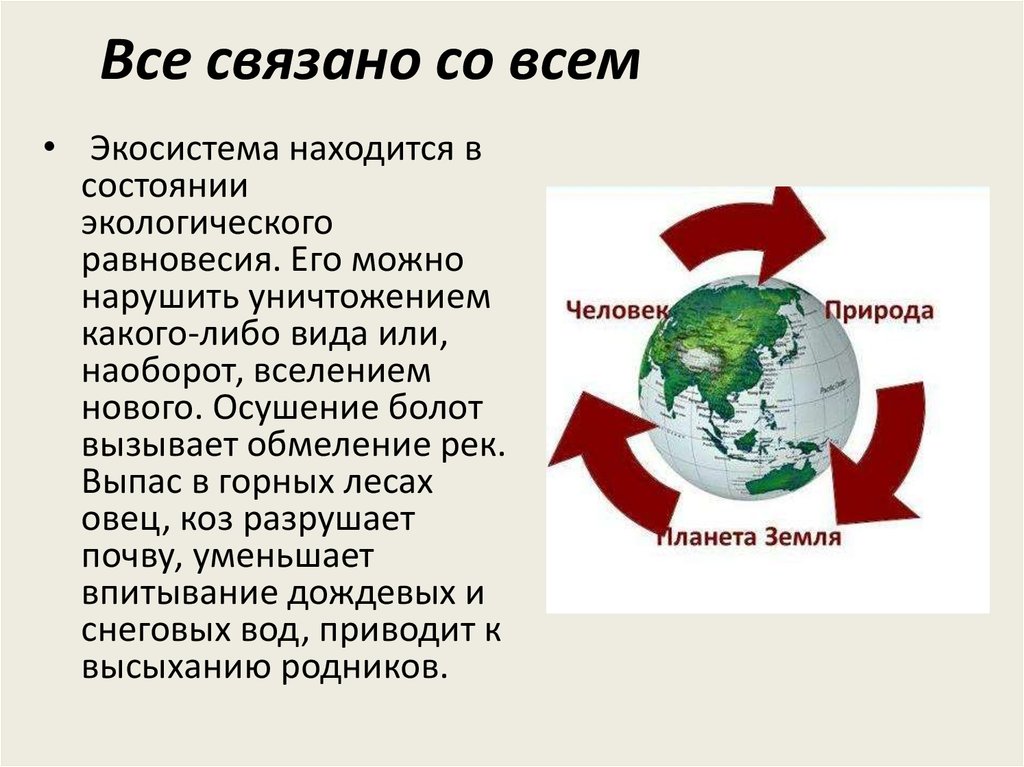 Все связано со всем. Все связано со всем экология. Всё связано со всем примеры. Закон все связано со всем.