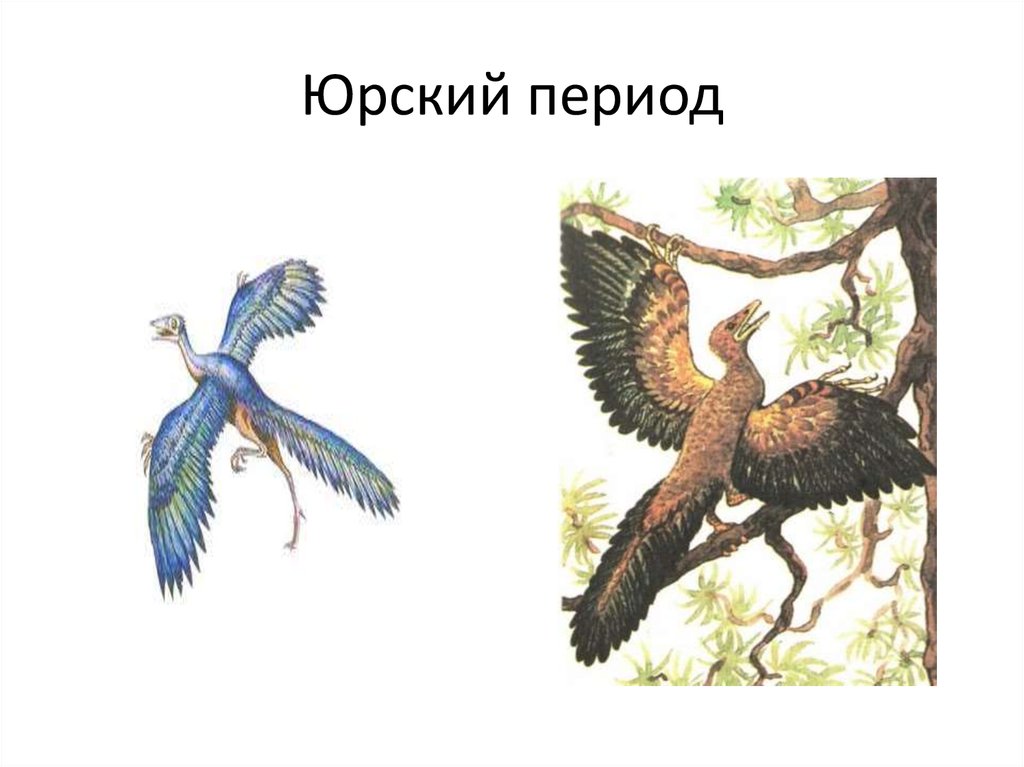 Юрский период