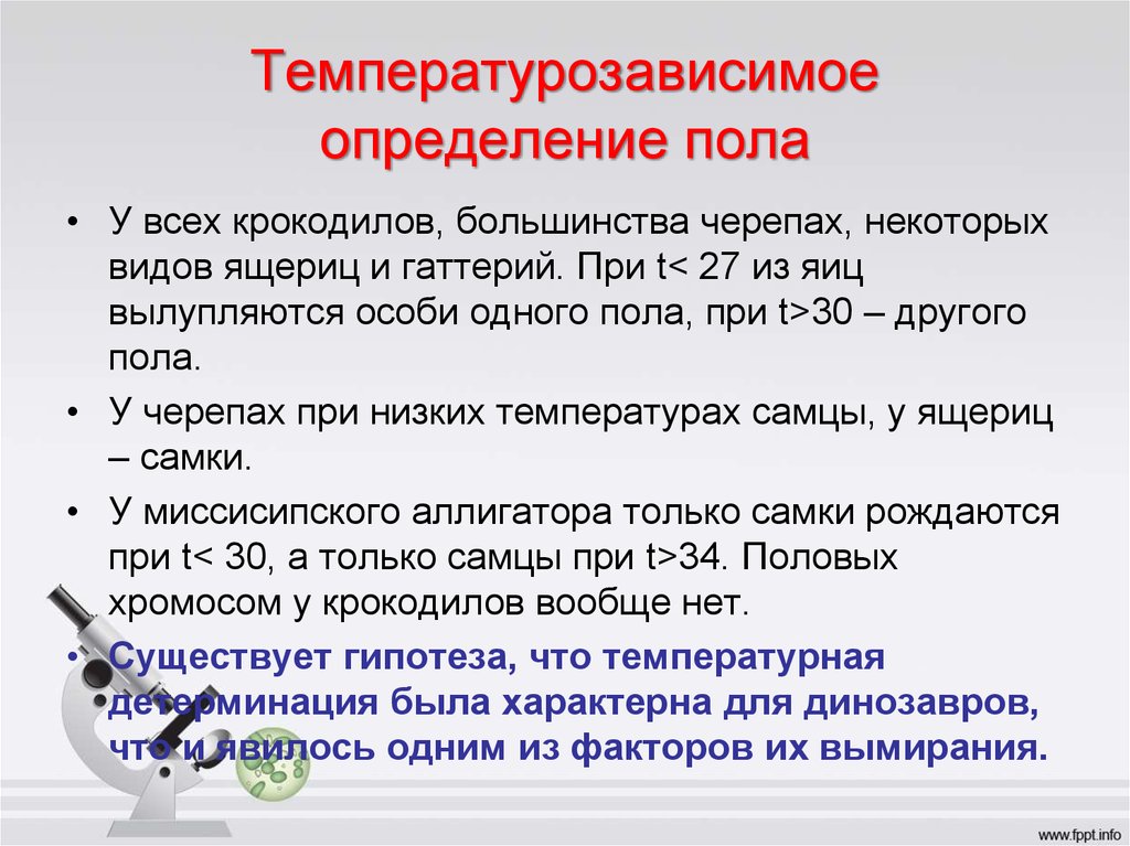 Оценка полов. Температурозависимое определение пола. Способы определения пола. Температурощавимимое определение пола. Типы определения пола.