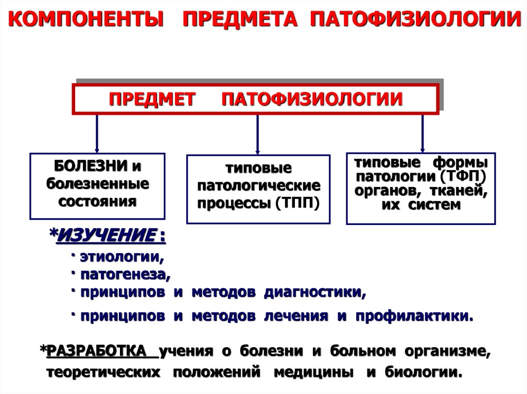 Презентация по патофизиологии