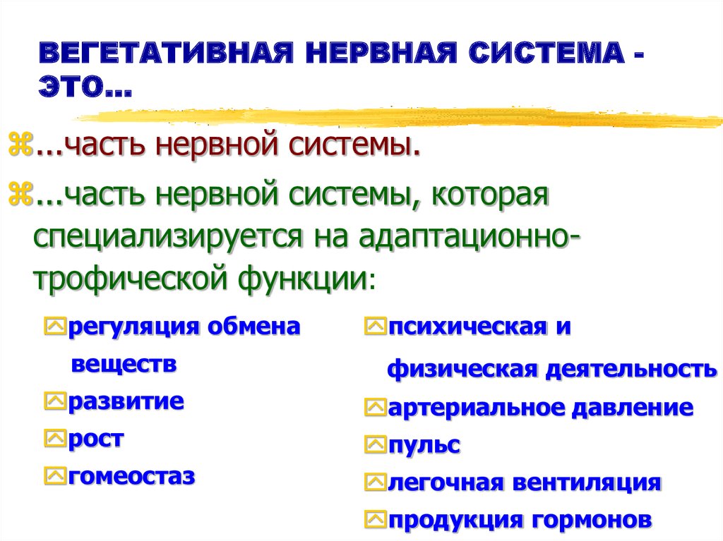 ВЕГЕТАТИВНАЯ НЕРВНАЯ СИСТЕМА - ЭТО...