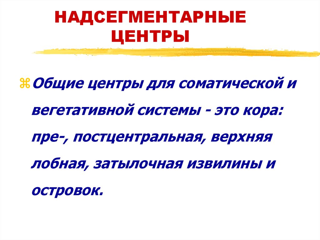 НАДСЕГМЕНТАРНЫЕ ЦЕНТРЫ