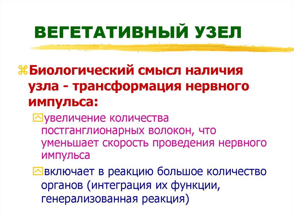 Функция вегетативных узлов. Функция вегетативных узлов
