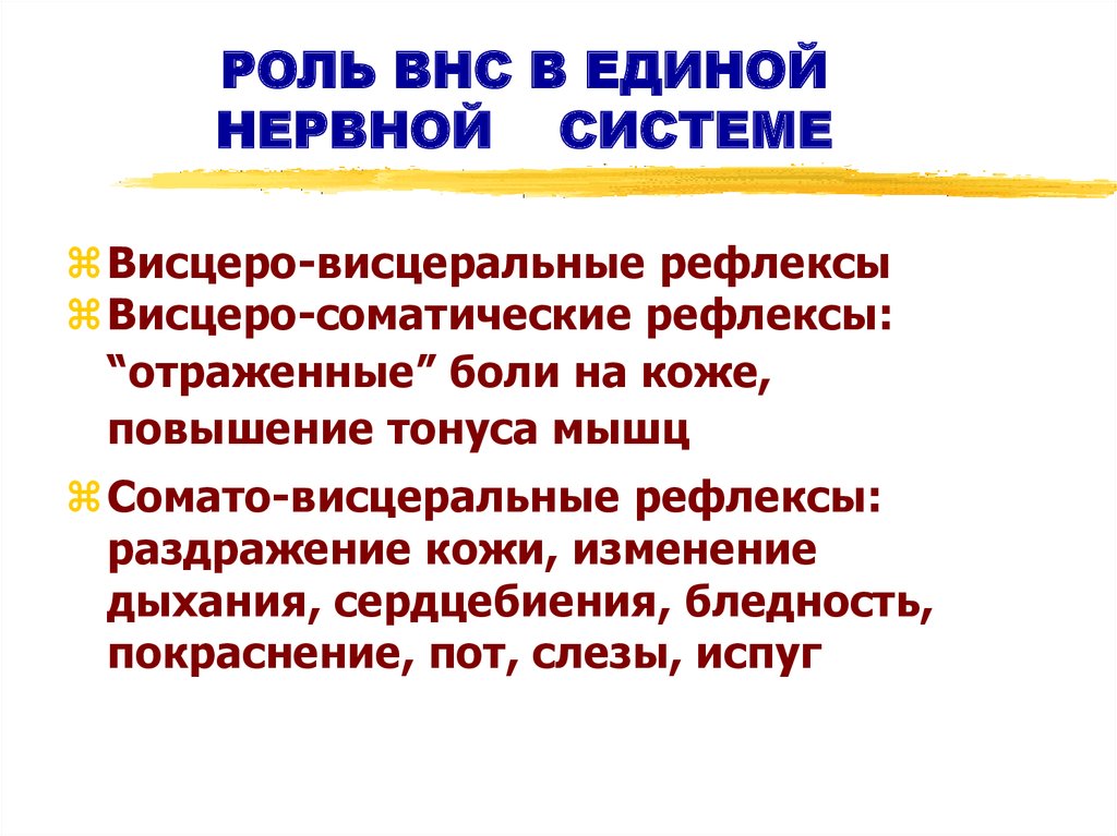 РОЛЬ ВНС В ЕДИНОЙ НЕРВНОЙ СИСТЕМЕ