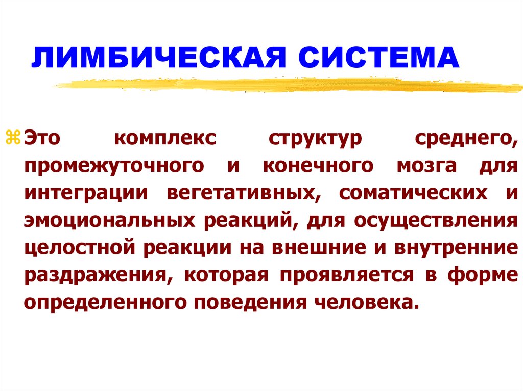ЛИМБИЧЕСКАЯ СИСТЕМА